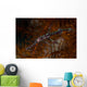 Ornate Ghost Pipefish Blends Wall Decal Design 1