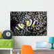 Pair Young Saddleback Anemonefish Wall Decal