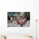 Well-camouflaged Scorpionfish Lays Coral Wall Decal Design 1