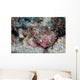 Well-camouflaged Scorpionfish Lays Coral Wall Decal Design 1