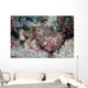 Well-camouflaged Scorpionfish Lays Coral Wall Decal Design 1