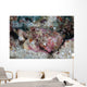 Well-camouflaged Scorpionfish Lays Coral Wall Decal Design 1