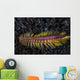 Darklined Fireworm Crawls across Wall Decal