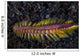 Darklined Fireworm Crawls across Wall Decal