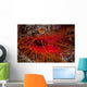 Disco Clam Reef near Wall Decal
