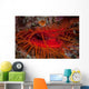 Disco Clam Reef near Wall Decal