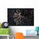 Unidentified Octopus Black Sand Wall Decal Design 2