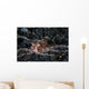 Unidentified Octopus Black Sand Wall Decal Design 1