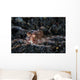 Unidentified Octopus Black Sand Wall Decal Design 1