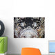 Reef Stonefish Blends into Wall Decal