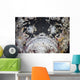 Reef Stonefish Blends into Wall Decal