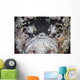 Reef Stonefish Blends into Wall Decal