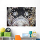 Reef Stonefish Blends into Wall Decal