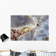 Eye Giant Frogfish Wall Decal Design 1