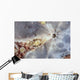 Eye Giant Frogfish Wall Decal Design 1