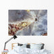 Eye Giant Frogfish Wall Decal Design 1