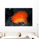 Orange Sieve Cowry Crawling Wall Decal