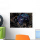 Small Bobtail Squid Crawls Wall Decal