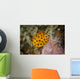Juvenile Yellow Boxfish Swims Wall Decal Design 2