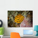 Juvenile Yellow Boxfish Swims Wall Decal Design 2