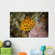 Juvenile Yellow Boxfish Swims Wall Decal Design 2