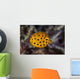 Juvenile Yellow Boxfish Swims Wall Decal Design 1