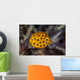 Juvenile Yellow Boxfish Swims Wall Decal Design 1
