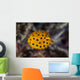 Juvenile Yellow Boxfish Swims Wall Decal Design 1