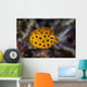 Juvenile Yellow Boxfish Swims Wall Decal Design 1