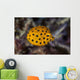 Juvenile Yellow Boxfish Swims Wall Decal Design 1