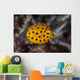 Juvenile Yellow Boxfish Swims Wall Decal Design 1
