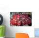 Unidentified Crab Sits Seafloor Wall Decal