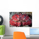 Unidentified Crab Sits Seafloor Wall Decal
