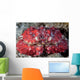 Unidentified Crab Sits Seafloor Wall Decal
