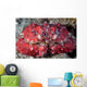 Unidentified Crab Sits Seafloor Wall Decal