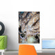 Solar-powered Nudibranch Crawls across Wall Decal