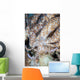 Solar-powered Nudibranch Crawls across Wall Decal