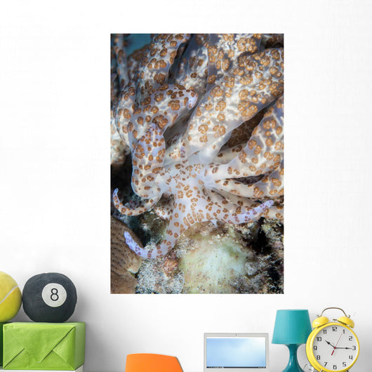Solar-powered Nudibranch Crawls across Wall Decal