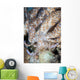 Solar-powered Nudibranch Crawls across Wall Decal