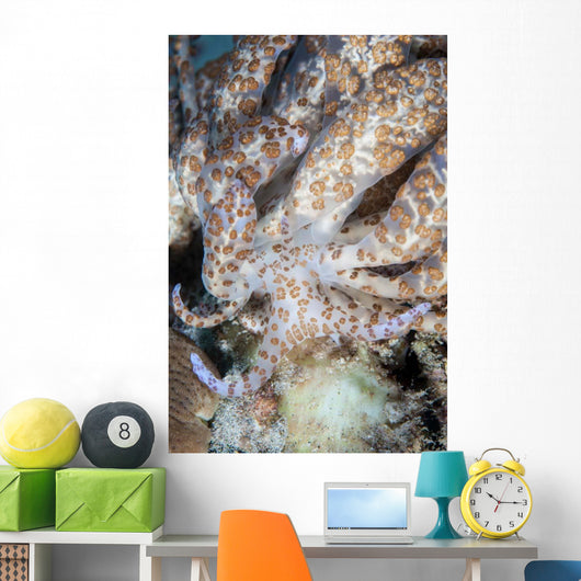 Solar-powered Nudibranch Crawls across Wall Decal