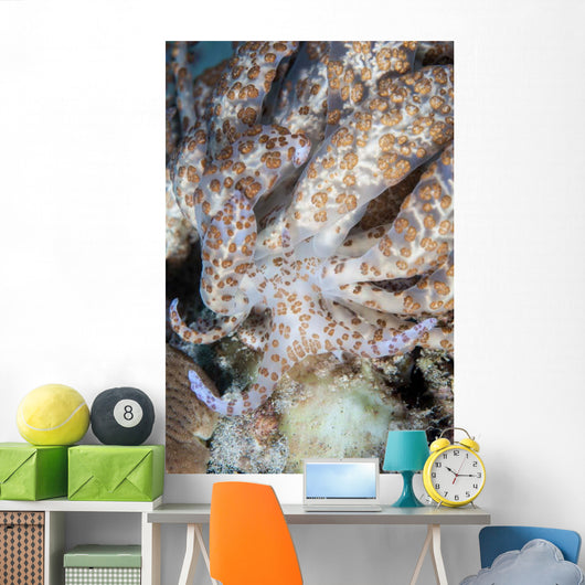 Solar-powered Nudibranch Crawls across Wall Decal