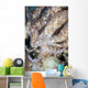 Solar-powered Nudibranch Crawls across Wall Decal