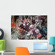 Shortfin Lionfish Lays Seafloor Wall Decal