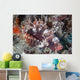 Shortfin Lionfish Lays Seafloor Wall Decal