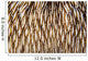 Abstract Mushroom Coral Growing Wall Decal