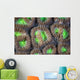 Coral Polyps Grow Reef Wall Decal