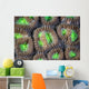 Coral Polyps Grow Reef Wall Decal