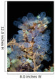 Colorful Tunicates Grow Reef Wall Decal