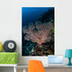Large Soft Coral Colony Wall Decal Design 2