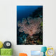 Large Soft Coral Colony Wall Decal Design 2